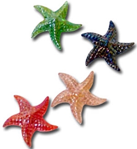 starfish.jpg (38362 oCg)