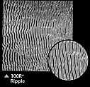 ripple.jpg (9530 バイト)